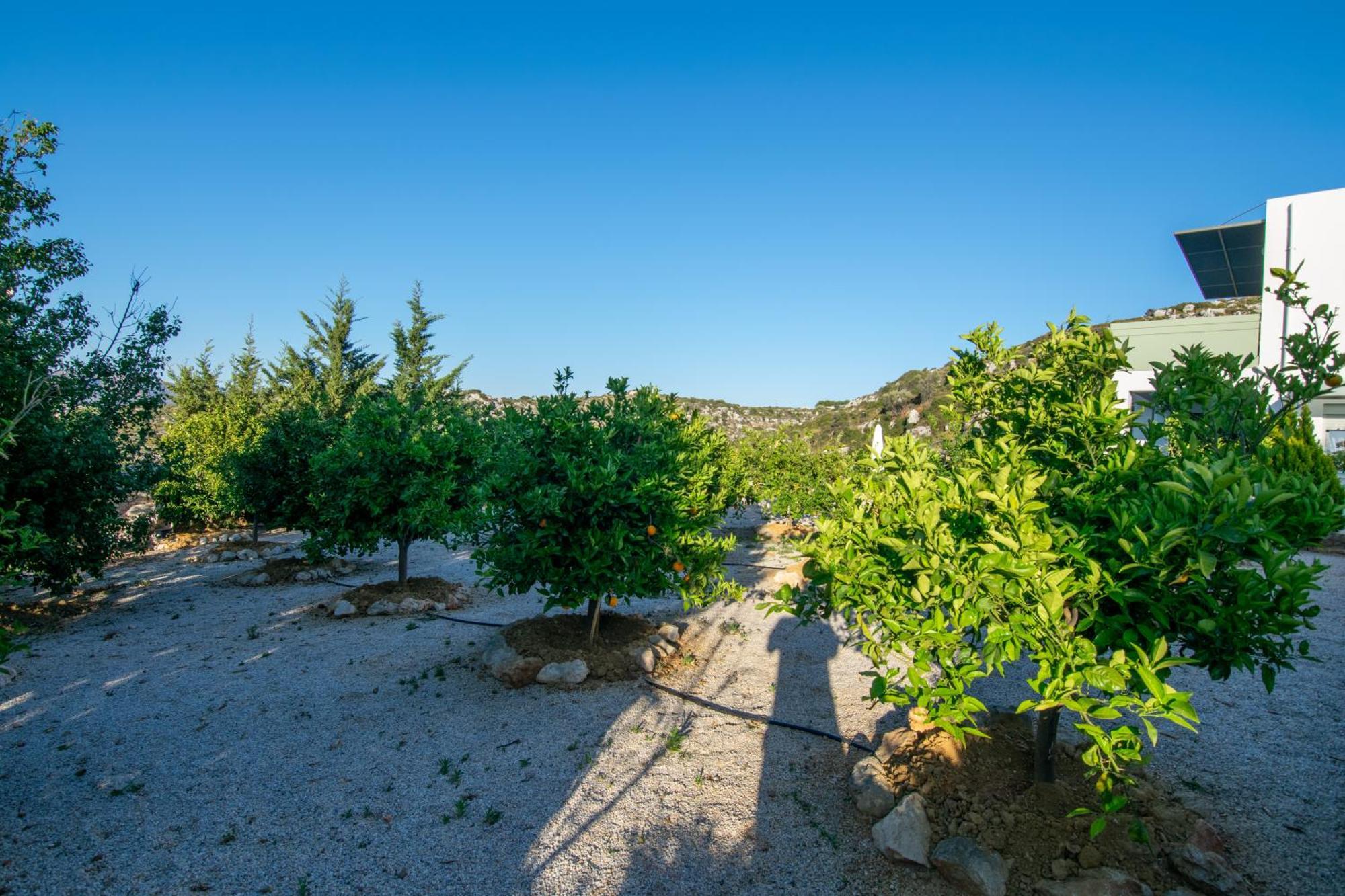فيلات كاتاكيس Agios Onoufrios المظهر الخارجي الصورة