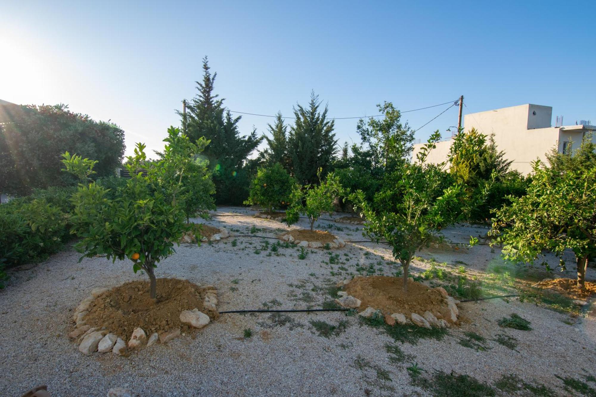 فيلات كاتاكيس Agios Onoufrios المظهر الخارجي الصورة