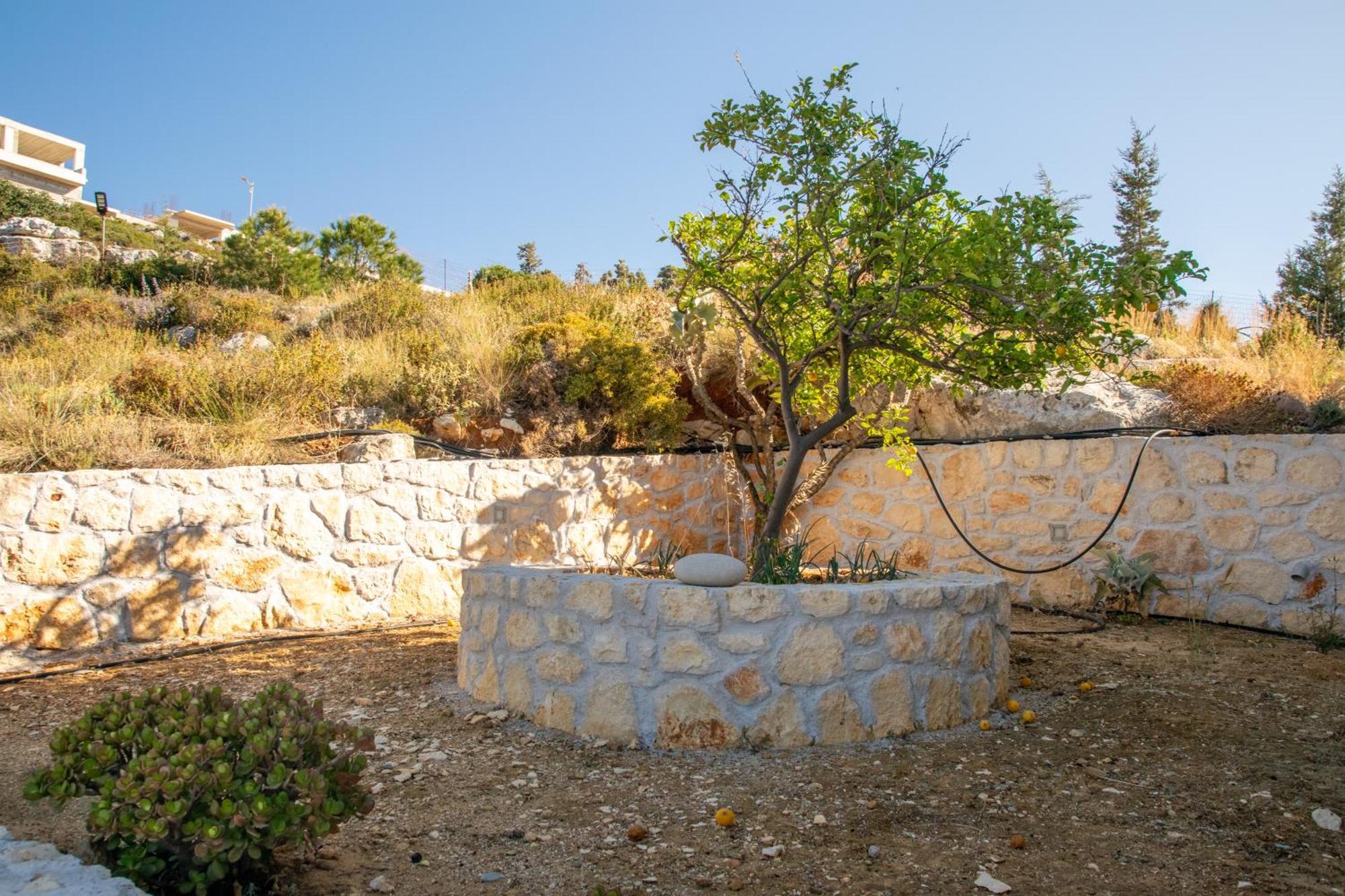فيلات كاتاكيس Agios Onoufrios المظهر الخارجي الصورة