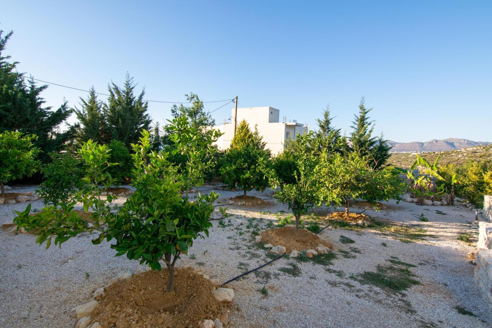 فيلات كاتاكيس Agios Onoufrios المظهر الخارجي الصورة